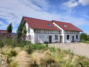 Binzighof Ferienhäuser